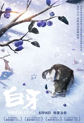 午夜视频网